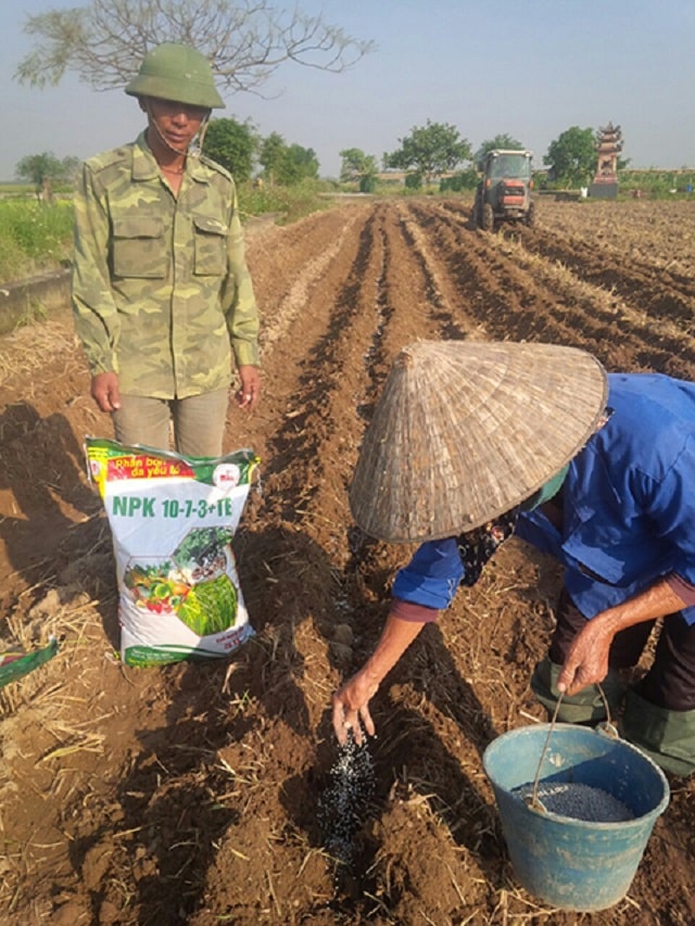 Giá phân bón npk cao gây khó khăn cho người nông dân bởi đây là yếu tố không thể thiếu trong chăm sóc cây trồng Giá phân bón npk cao gây khó khăn cho người nông dân bởi đây là yếu tố không thể thiếu trong chăm sóc cây trồng