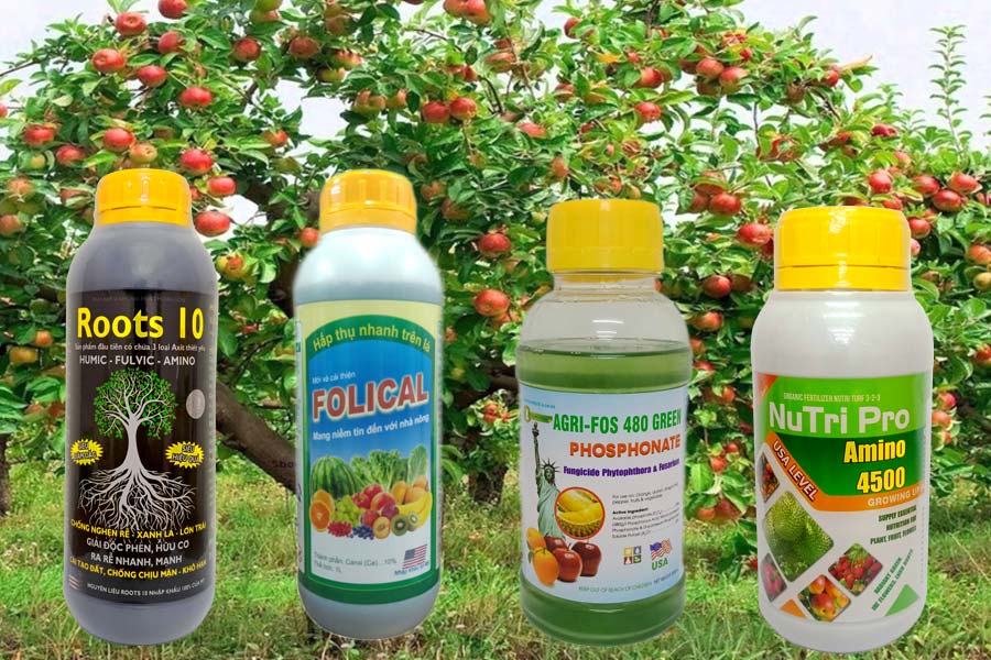 Mua npk bón lá giá tốt tại Công ty phân bón Vietfarm Mua npk bón lá giá tốt tại Công ty phân bón Vietfarm