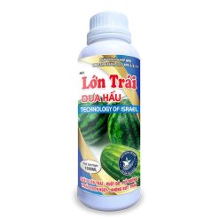 PHÂN BÓN LÁ LỚN TRÁI DƯA HẤU
