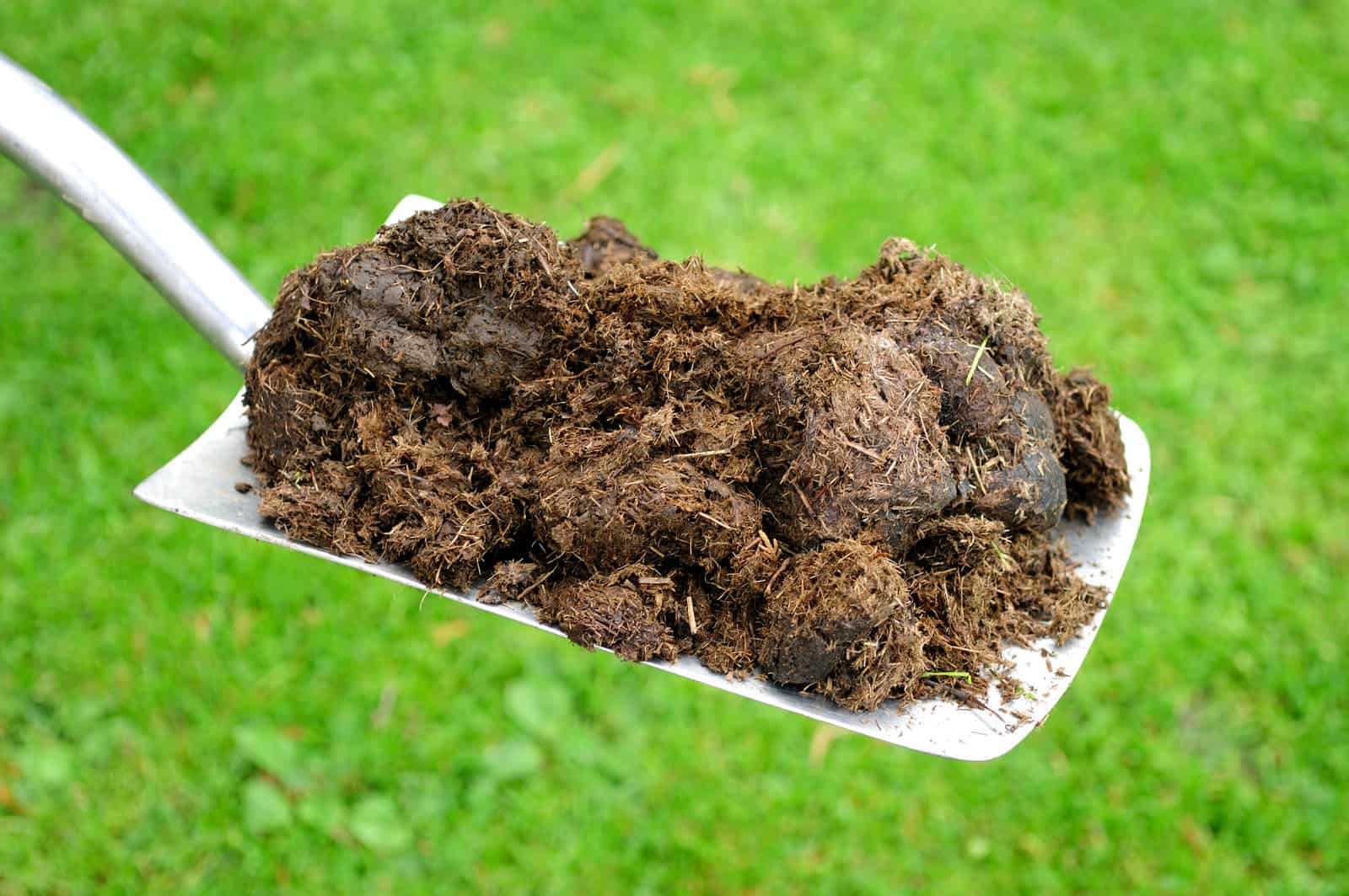 Tỷ lệ NPK của một loại phân bón Tỷ lệ NPK của một loại phân bón