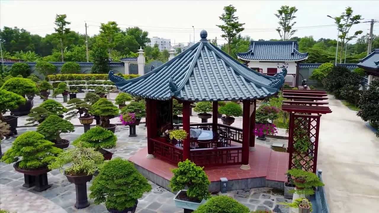 Cách bón phân cho cây cảnh đúng liều lượng, đúng thời kỳ Cách bón phân cho cây cảnh đúng liều lượng, đúng thời kỳ