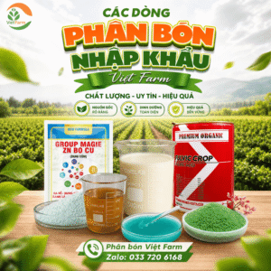 Các dòng phân bón nhập khẩu tại Việt FARM