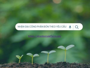 Gia công phân bón theo yêu cầu