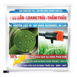 LƯU DẪN-LOANG TRẢI-THẨM THẤU