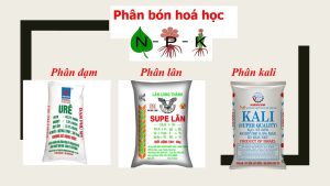 Vài nét về phân hóa học