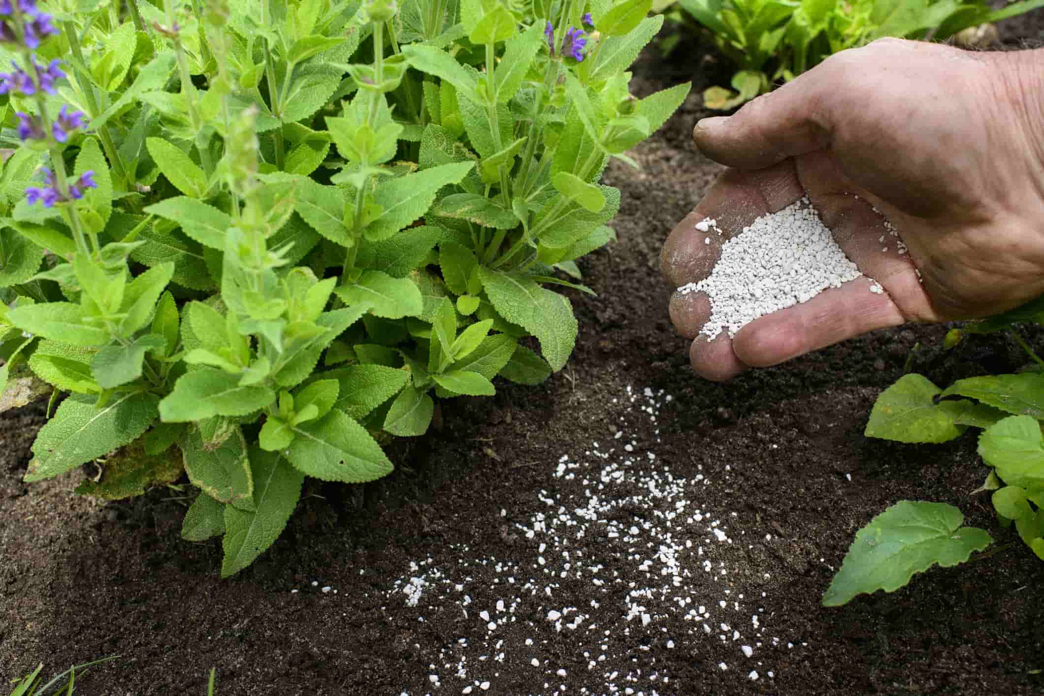 Phân bón có tác động như thế nào đến hệ thống đất trồng Phân bón có tác động như thế nào đến hệ thống đất trồng
