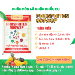 Phân Bón Nhập Khẩu Phosphiten 950