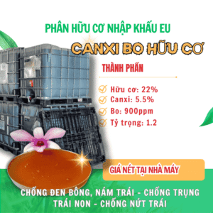 canxi bo huu co web