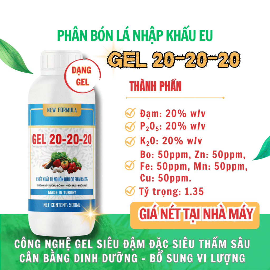 Balance Gell 20-20-20 Balance Gell 20-20-20