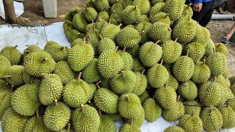 Gia tăng lợi nhuận - Nhà vườn bán giá cao
