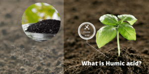 humic la gi