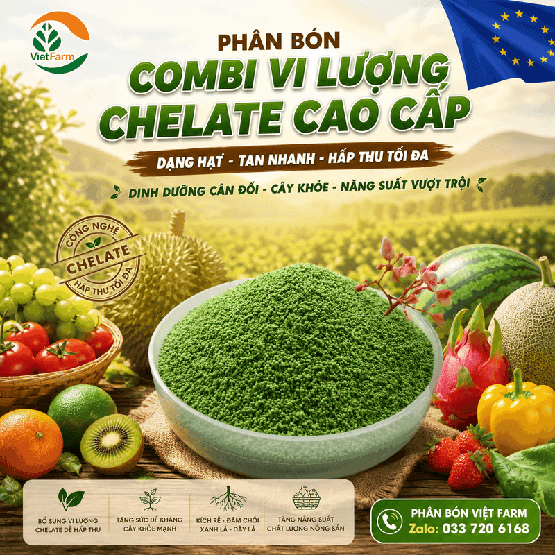 Vi Lượng Cho Cây Trồng: Nhu Cầu Từng Loại & Giải Pháp Cho Đại Lý 1 VI LUONG CHELATE U