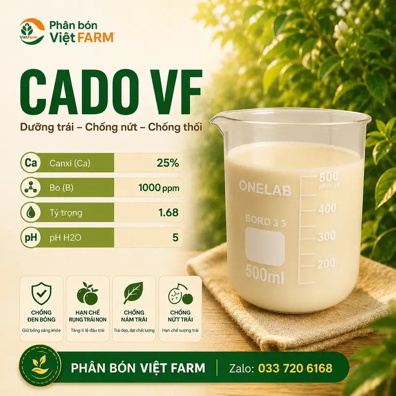 CADO VF USA – Canxi Bo 25% hỗ trợ chắc cây, chắc trái và hạn chế nứt trái CADO VF USA – Canxi Bo 25% hỗ trợ chắc cây, chắc trái và hạn chế nứt trái