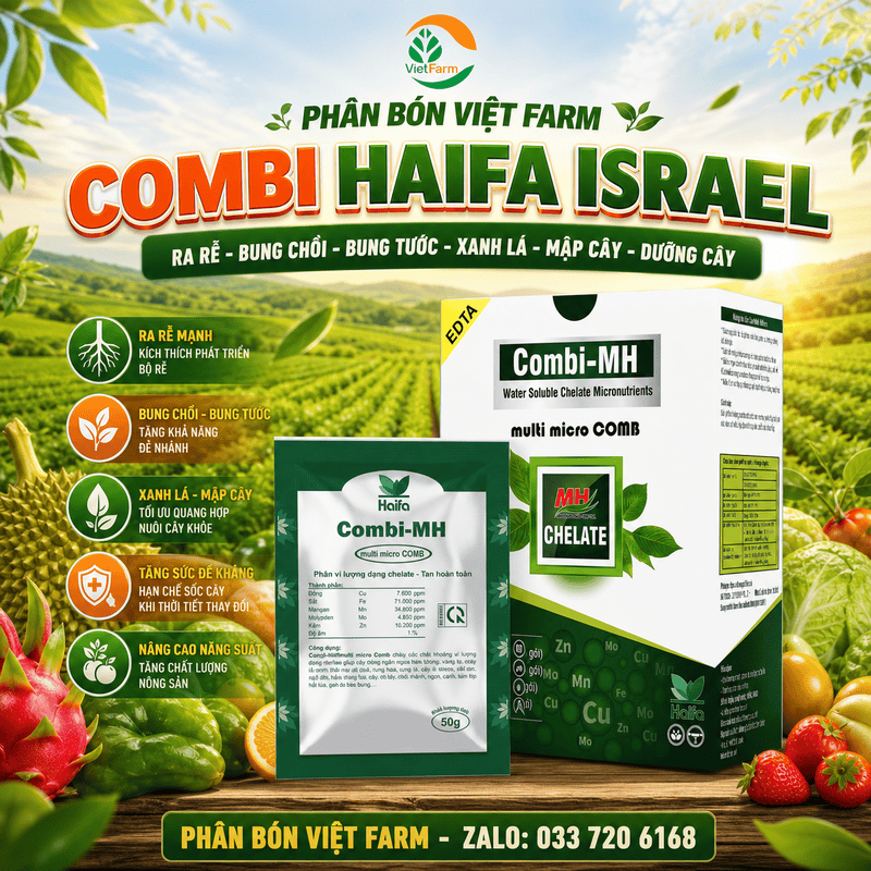 Phân Vi Lượng Combi Haifa