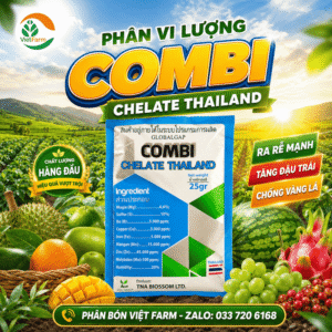 combi thai lan