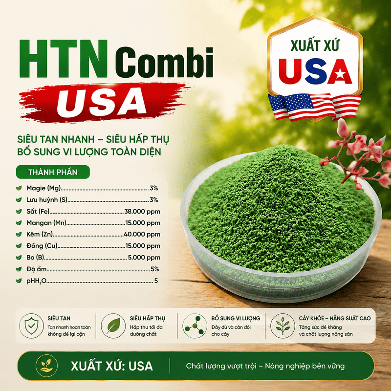 htn combi usa 0