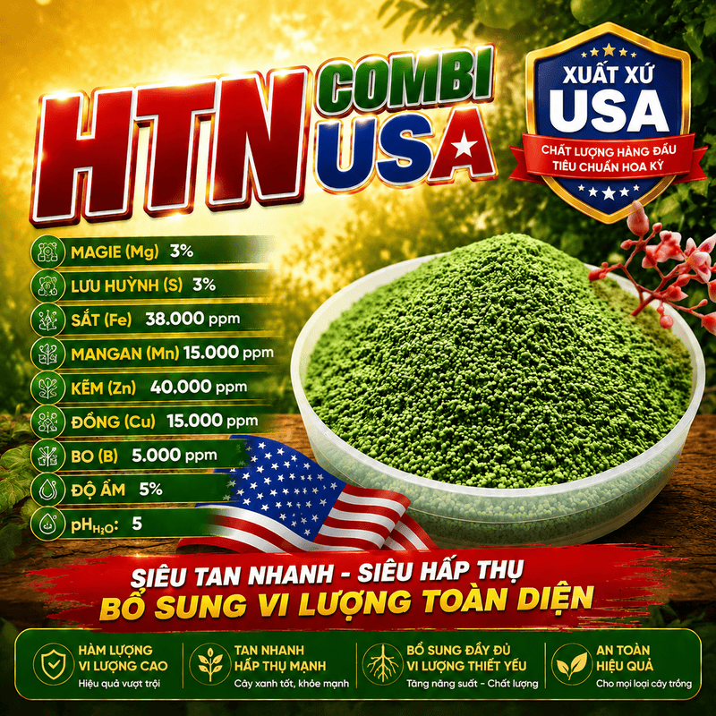 htn combi usa 1