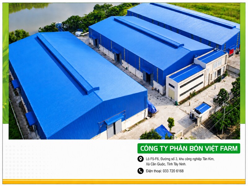 Nhà Máy Sản Xuất Phân Bón Lá Chất Lượng Cao: Giải Pháp Tối Ưu Cho Đại Lý 6 nha may phan bon viet farm0