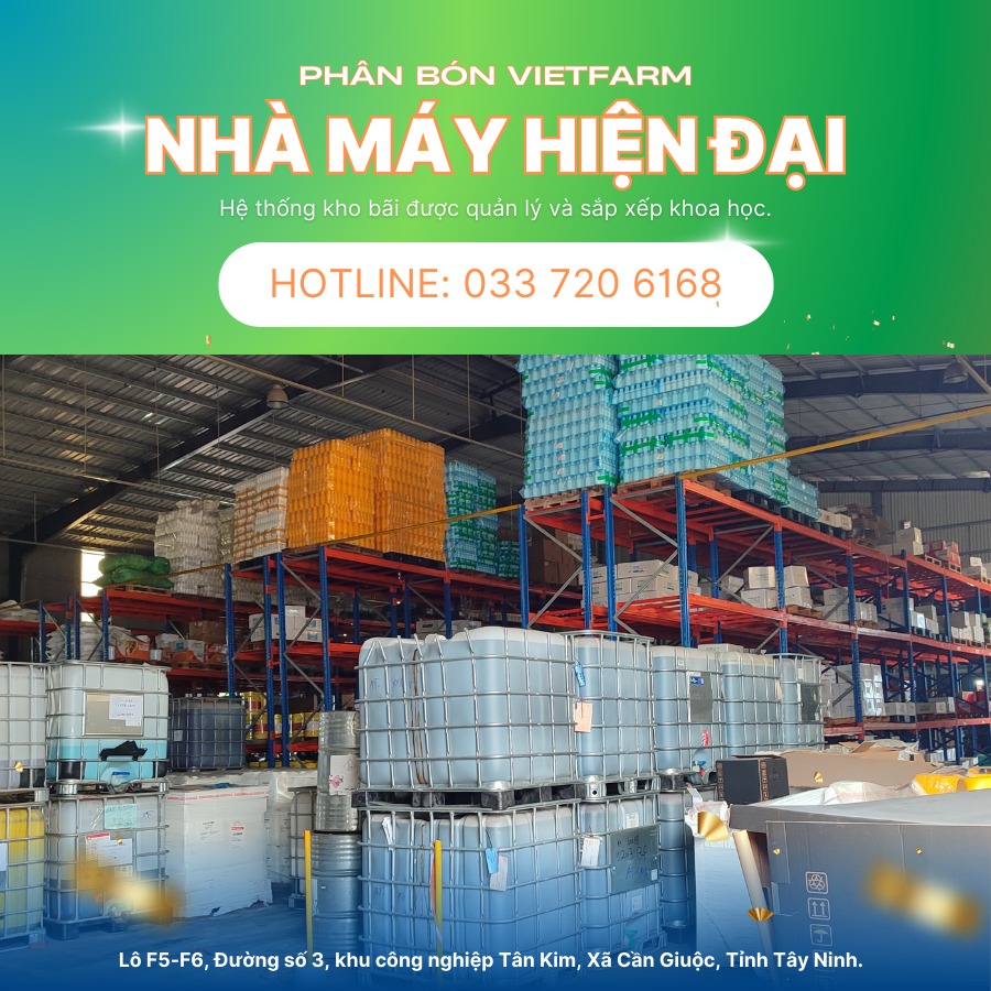 Dây Chuyền Sản Xuất Phân Bón Hiện Đại: Công Nghệ Tự Động Hóa 12.000 Tấn 8 nha may phan bon viet farm1