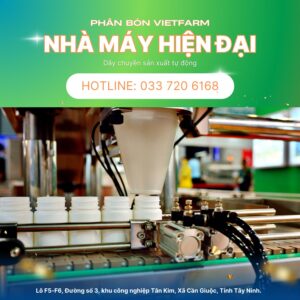 nha may vf