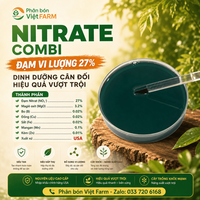 Siêu Vọt Đọt, Bung Chồi Đồng Loạt Với Đạm Nitrat (NO3-) – Giải Pháp Kéo Đọt Sầu Riêng & Cây Ăn Trái 1 nitrate combi 27 usa