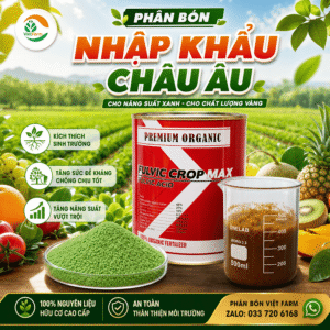 phan bon nhap khau chau au vf