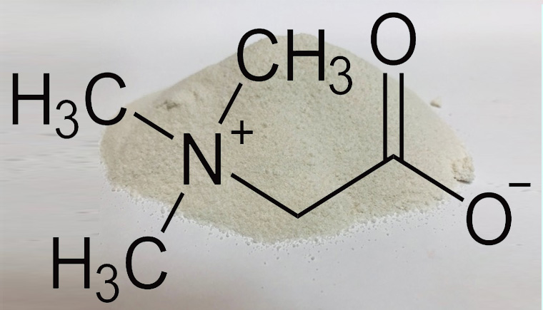Giải Mã Glycine Betaine Là Gì? Vắc-xin Sinh Học Cho Nông Nghiệp 2026 3 Betaine