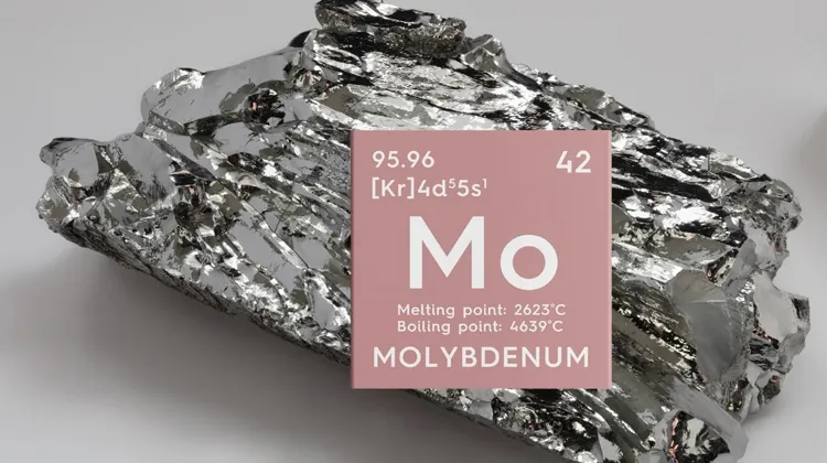 Giải Mã Molypden Là Gì? Bí Quyết Tối Ưu Năng Suất Nông Nghiệp Bền Vững