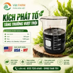 Kích Phát Tố Chuẩn Mỹ