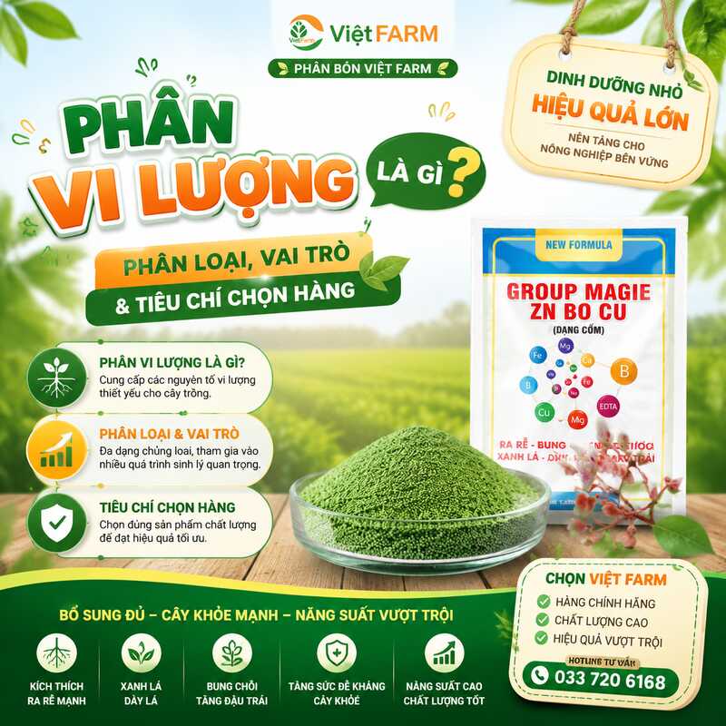 Hướng Dẫn Cách Đọc Thành Phần Phân Bón Chuẩn Xác Nhất Từ Chuyên Gia 1 phan vi luong