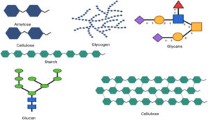 polysaccharides la gi 0