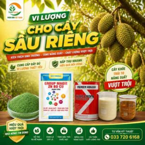 vi luong cho cay trong0