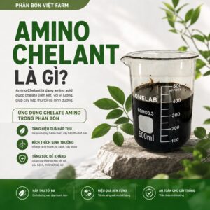 Amino Quelant 1