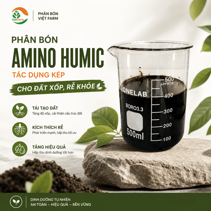 amin humic1 1