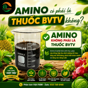 amino co phai thuoc bvtv