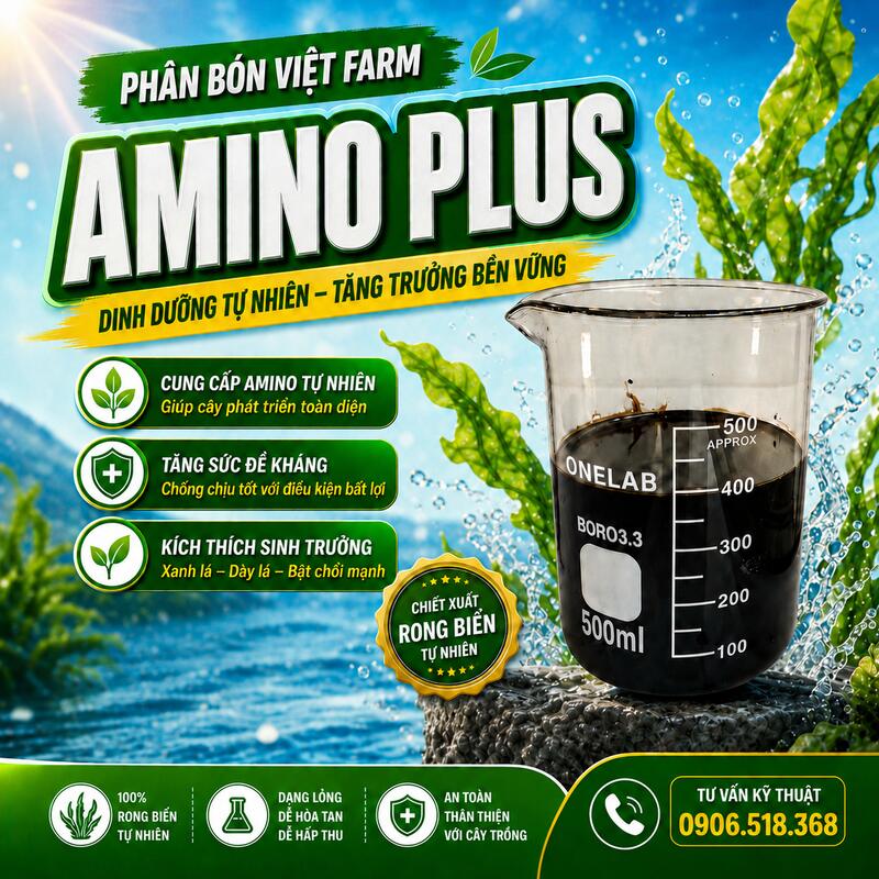 amino plus