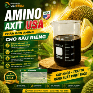 amino sau rieng 1