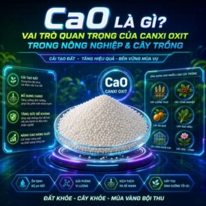 CaO la gi