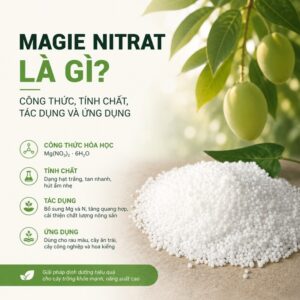 Magie Nitrat la gi vf