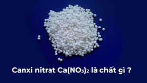 canxi nitrat la gi