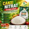 Canxi Nitrat (Calcium Nitrate)