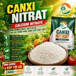 Canxi Nitrat (Calcium Nitrate)
