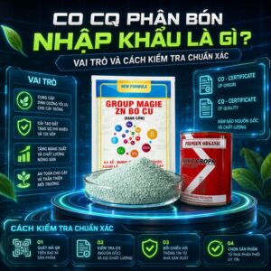 co cq phan bon nhap khau