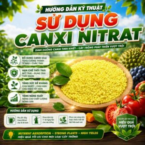 huong dan su dung canxi nitrat 1