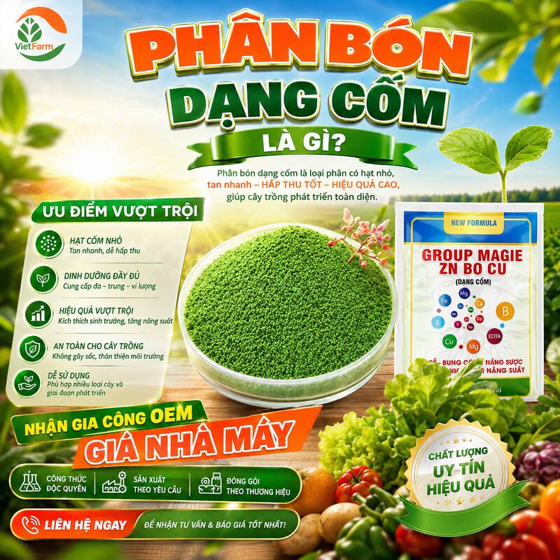 Gia công phân bón dạng cốm tại nhà máy Việt FARM