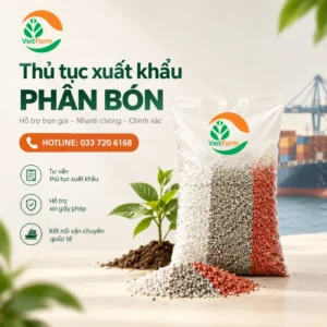 thu tuc xuat khau phan bon