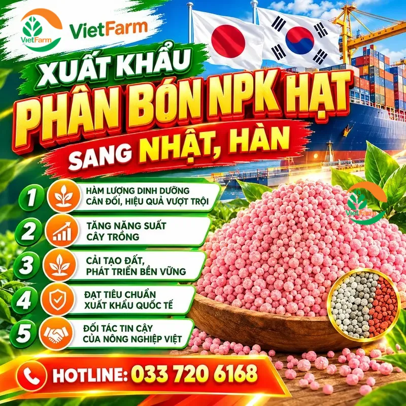 xuat khau phan bon npk vf 1
