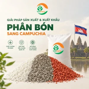 xuat phan bon sang campuchia 2